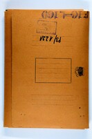 First American Conference for Democracy and Terms of Peace: Magnes' participation as Chairman, May 1917, New York.