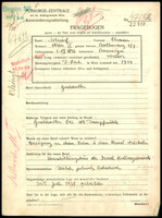 Applicant: Scharf, Chaim; born 1.7.1896 in Peczenizyn (Ukraine); married.