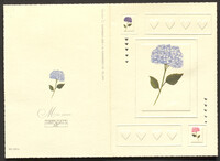 [מכתב] : 27.6.2002. נעמי שמר אל בעלה מרדכי הורוביץ.