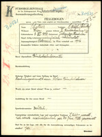 Applicant: Schattner, Baruch (Burich); born 8.8.1893 in Jablonitza; married.