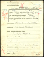 Applicant: Scheffer, Josef; born 1880 in Prügy (Hungary); married.