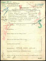 Applicant: Scheiner, Hersch; born 7.7.1887 in Rohatyn; married.