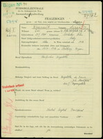 Applicant: Weinraub, Sazar; born 29.5.1900 in Suchostow; single.