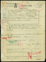 Applicant: Weinrauch, Mendel; born 21.8.1896 in Solotwina (Ukraine); married.