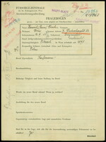 Applicant: Weinstein, Heinrich Chaim; born 12.3.1881 in Grzymalov (Ukraine); married.