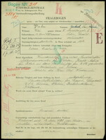 Applicant: Werber, Leo; born 14.06.1895 in Litin (Ukraine); married.