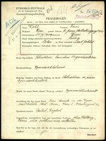 Applicant: Wohl, Fani; born 21.9.1909 in Vienna (Austria); single.