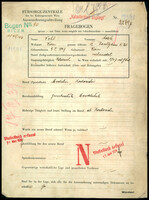Applicant: Wohl, Adele; born 9.5.1907 in Vienna (Austria); married.
