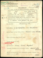 Applicant: Wolf, Jakob Isak; born 18.11.1891 in Vienna (Austria); married.