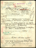 Applicant: Wolf, Isak Ignaz; born 10.4.1895 in Sokalʹ (Ukraine); married.