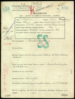 Applicant: Wolfsohn, Max; born 28.6.1907 in Mohilow A/Dnepr (Russia); single.