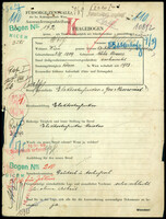 Applicant: Wolf, Julius; born 8.2.1889 in Mähr Aussee; married.
