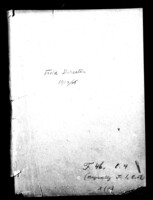 Correspondence and reports of Abraham Schoenfeld, Vice Committee field director; incl.: A report on vice in Chicago.