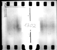 Reports by David Yellin, Jerusalem, to the AJRC.