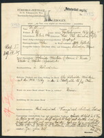 Applicant: Wettreich, Beile; born 23.6.1886 in Podu-Iloaiei (Romania); widowed.