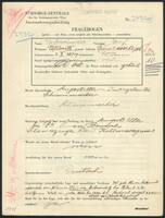 Applicant: Wetterschneider, Josef; born 3.10.1879 in Vienna (Austria); married.