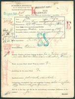 Applicant: Stotter, Josefine; born 15.6.1889 in Sni︠a︡tyn (Ukraine); married.