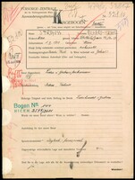 Applicant: Strauss, Richard Israel; born 1.2.1899 in Vienna (Austria); married.
