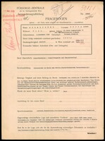 Applicant: Strelisker, Georg; born 8.12.1894 in Focsani (Romania); single.