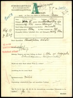 Applicant: Weinstein, Moses; born 16.1.1892 in Ulanów; married.