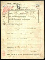 Applicant: Weiser, Arnold; born 20.7.1895 in Szczucin; married.