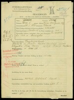 Applicant: Weiss, Josef; born 26.1.1886 in Klasno (Poland); married.