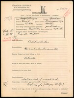 Applicant: Vogelfänger, Gustav; born 3.1.1892 in Mostar (Bosnia and Herzegovina); divorced.