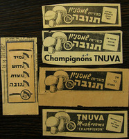 פטריות שמפניון.
