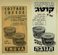גבינת קוטג' מהי? – הספרייה הלאומית