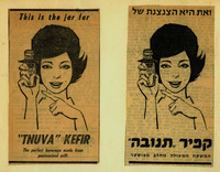 זאת היא הצנצנת של קפיר תנובה – הספרייה הלאומית