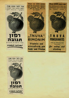 Tnuva pomegranates rich in vitamins and minerals.