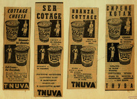 Cottage cheese.