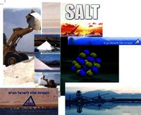 SALT.