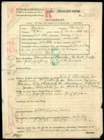 Applicant: Saphier, Heinrich; born 25.8.1898 in Essegg, S. H. S.; married.
