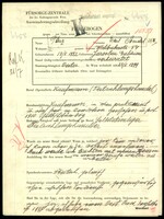 Applicant: Tanz, Emil Mendel; born 18.5.1882 in Jarosław (Poland); married.