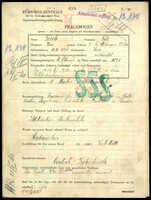 Applicant: Taub, Fritz; born 10.11.1891 in Vienna (Austria); married.