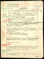 Applicant: Taussig, Richard; born 28.10.1882 in Libice nad Doubravou (Czech Republic); married.