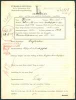 Applicant: Terner, Samuel; born 16.8.1887 in Satu Mare (Satu Mare, Romania); married.