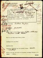 Applicant: Reich-zodiern, Mathias; born 1.5.1879 in Vienna (Austria); married.