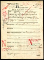 Applicant: Sattler, Herz; born 17.9.1893 in Wola Raniżowska (Poland); married.