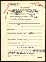 Applicant: Zelmanovits, Franz Ferencz; born 26.4.1881 in Budapest (Hungary); single.