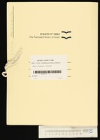 Ádám II. Batthyány - Contracts.