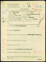 Applicant: Kürt, Paul; born 19.1.1886 in Vienna (Austria); married.