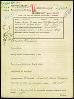 Applicant: Mader, David; born 7.10.1892 in Belz (Ukraine); married.