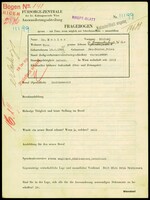 Applicant: Mahler, Michael; born 18.6.1892 in Neu-sandez; married.