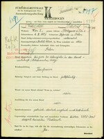 Applicant: Mandel, David; born 4.3.1887 in Bojaniec; married.