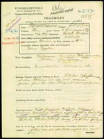 Applicant: Mandelbaum, Filip Finkel; born 27.4.1887 in Galatz; married.