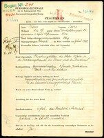 Applicant: Mann, Jakob; born 6.4.1892 in Vienna (Austria); single.