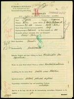 Applicant: Spis, Regine; born 9.2.1890 in Busk (Poland); single.