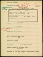 Applicant: Spitz, Anny; born 29.4.1911 in Vienna (Austria); single.
